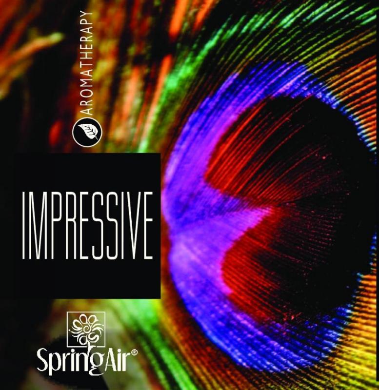 SPRING AIR NÁPLŇ PRE ICONOSCENT/ARTYSCENT
IMPRESSIVE 500ml